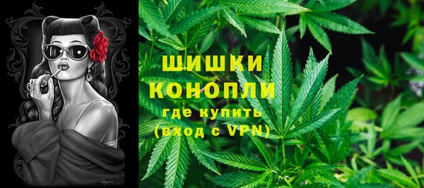 шишки Алексеевка